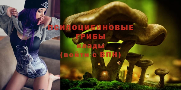 мет Снежинск
